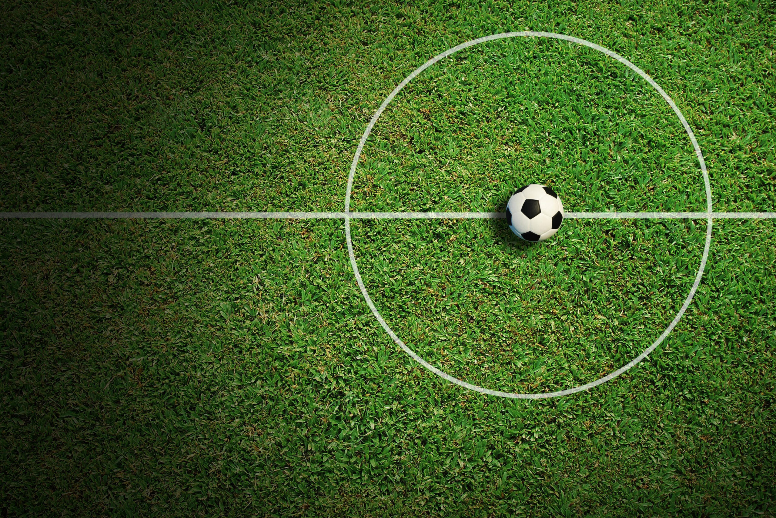 GOAL: Americans Agree on the World Cup