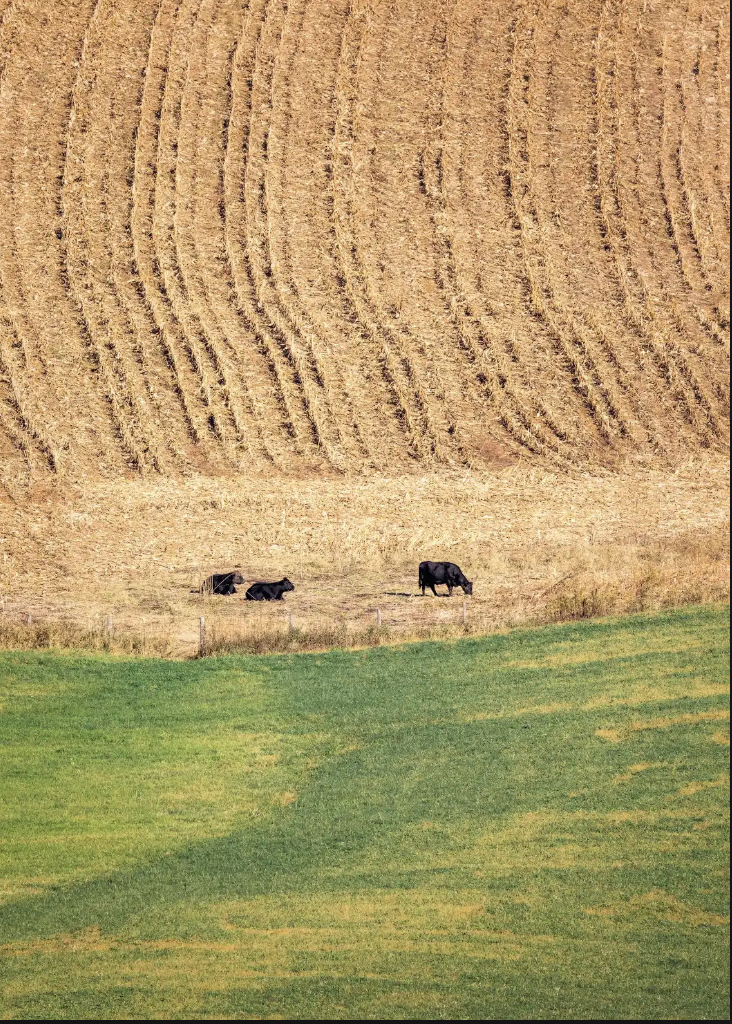 What Iowans Want – Lower Prices & Clean Water