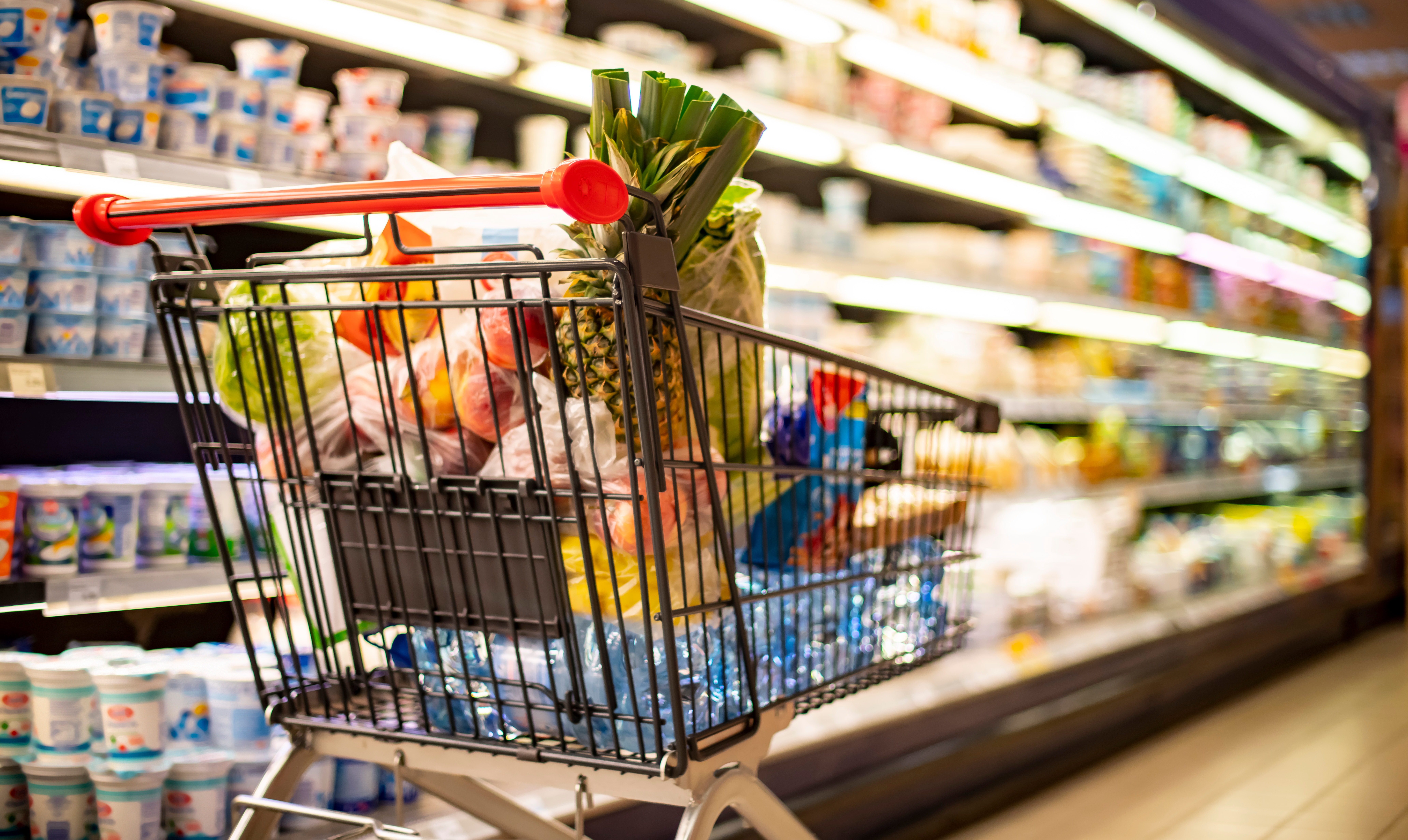 Food for Thought: Americans Are Concerned About What’s On Their Plate