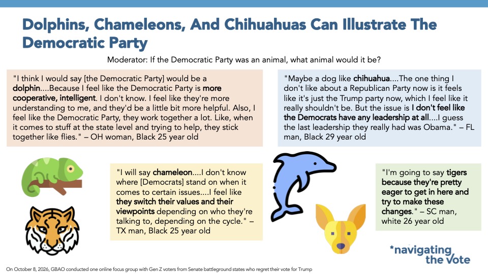 Slide from Navigator Research titled: Dolphins, Chameleons, And Chihuahuas Can Illustrate The Democratic Party